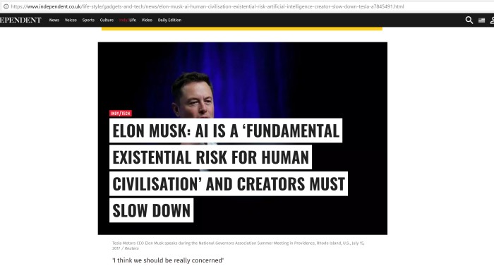 Elon Musk 4.jpg