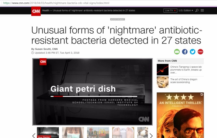 bacteria 1.jpg