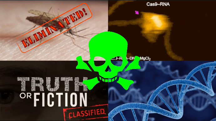 Screen Shot 2018-09-26 at 4.55.23 PM