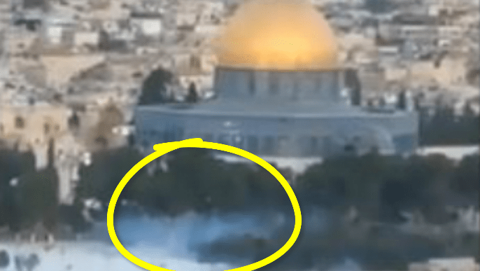 Screen Shot 2018-10-02 at 6.18.49 AM.png