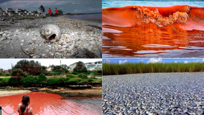 Screen Shot 2018-10-09 at 6.17.11 AM