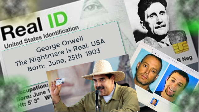 Screen Shot 2018-11-20 at 3.17.39 PM