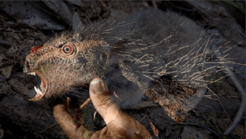 Screen Shot 2019-02-07 at 6.41.28 AM