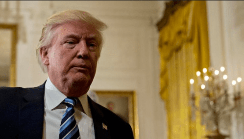 Screen Shot 2019-02-13 at 6.56.38 AM