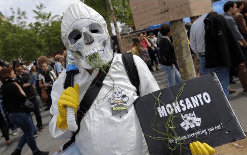 Screen Shot 2019-03-25 at 5.22.40 AM