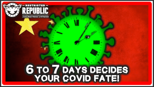 Screen Shot 2020-07-08 at 5.02.33 AM